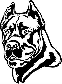Brutus